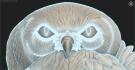 Owl on a branch. Download free 3d model for cnc - USJV_0010 3D